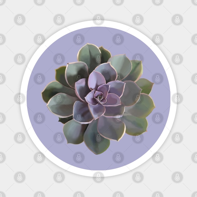 Echeveria // Perle Von Nurnberg V1 Magnet by Velvet Earth